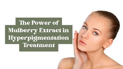 The Power of Mulberry Extract in Hyperpigmentation Treatment